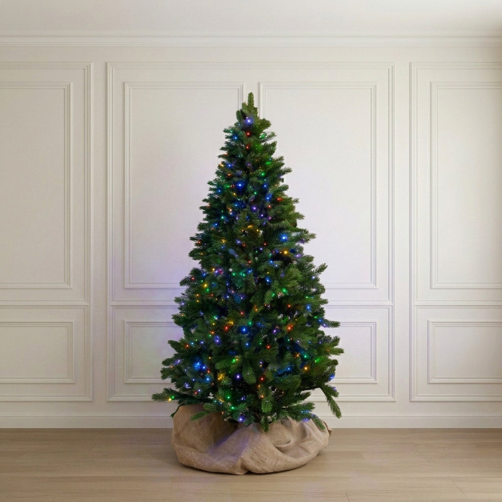 Prospect Pine Everlasting Tree 9'