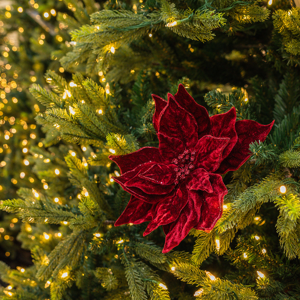 Red Velvet Poinsettia Stem 20"
