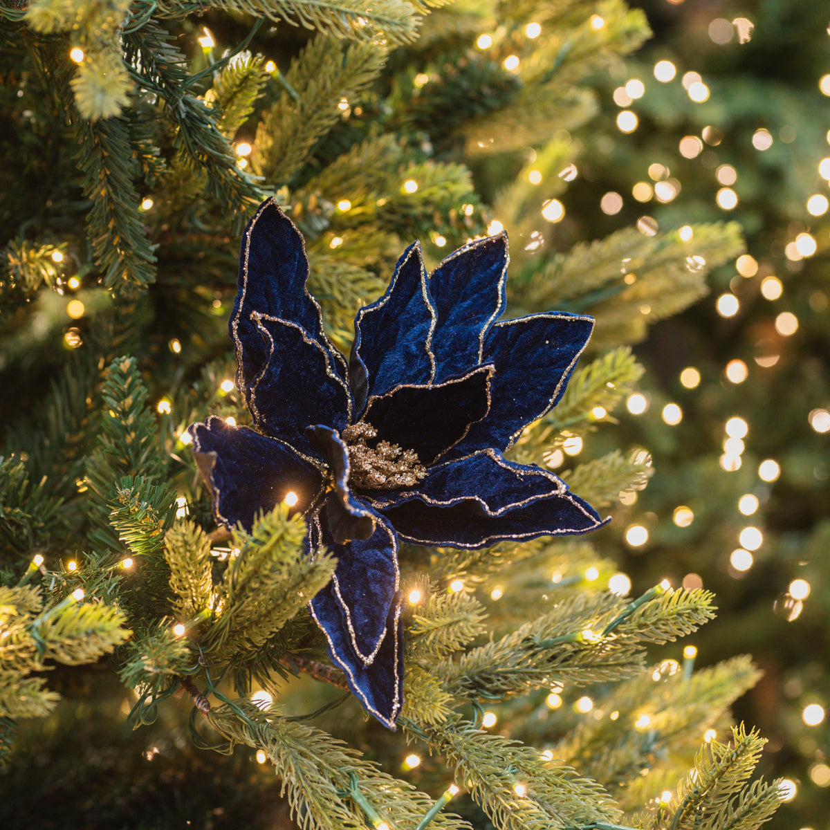 Blue Velvet Poinsettia Stem 20"