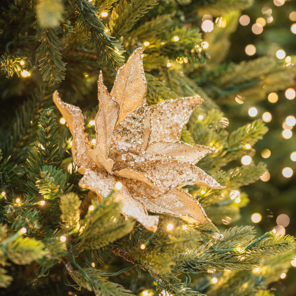 Gold Glitter Poinsettia Stem 19.5"