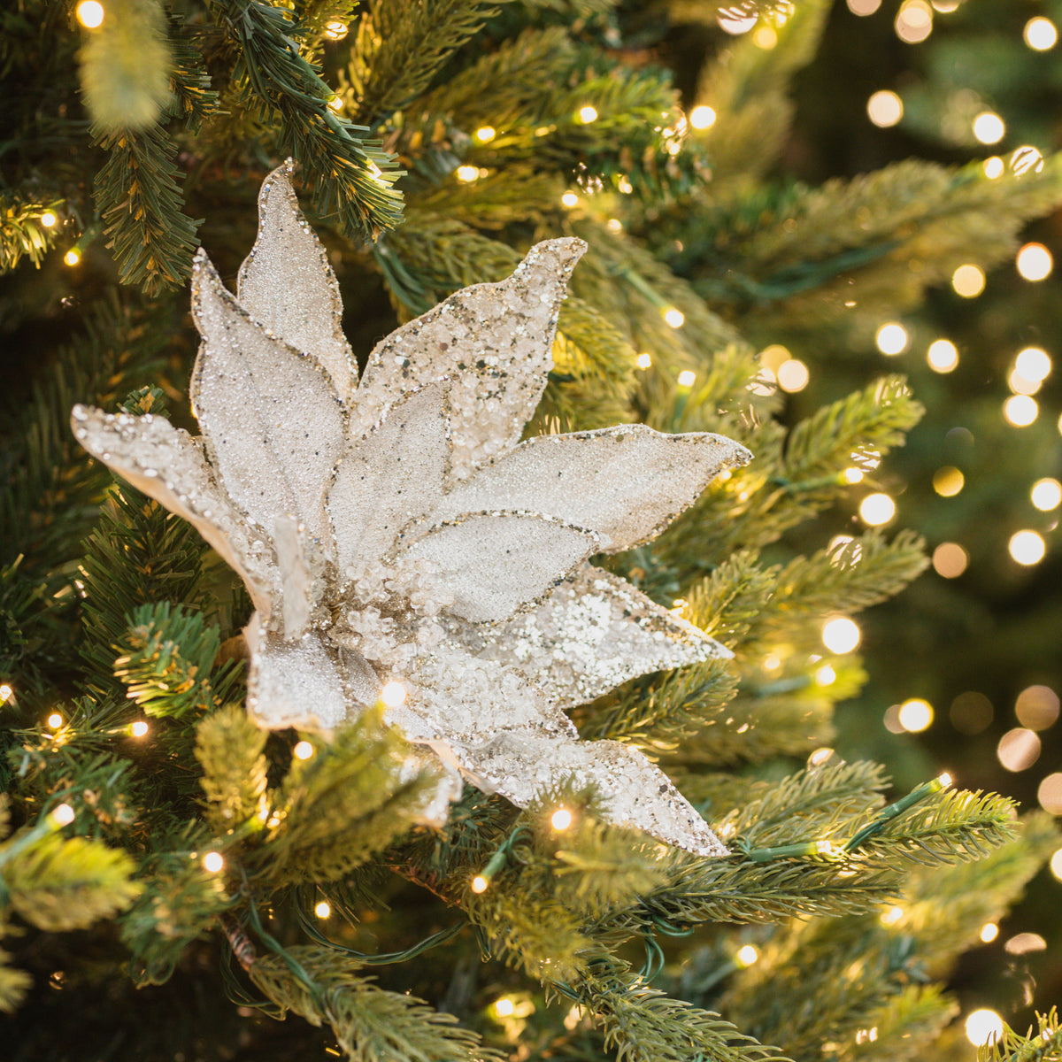 Champagne Glitter Poinsettia Stem 19.5"