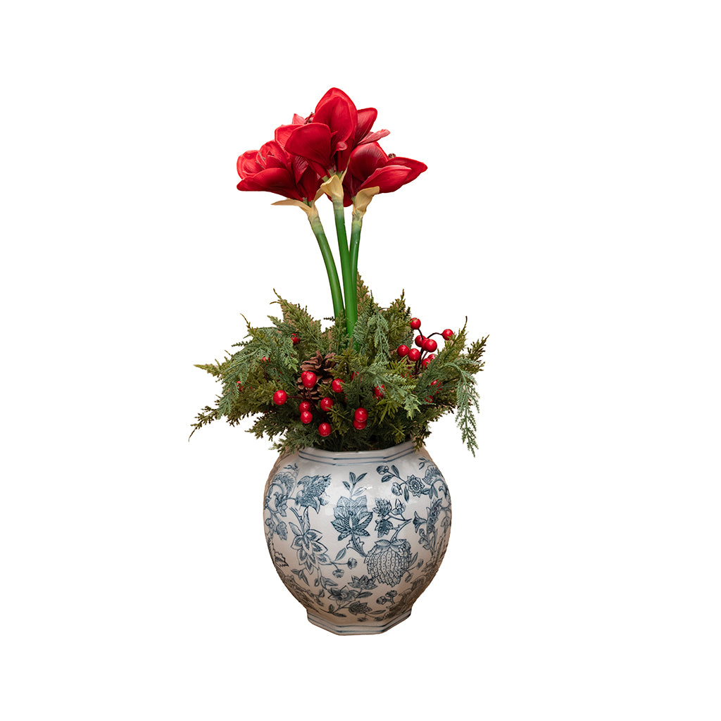 Potted Everlasting Amaryllis Centerpiece 24"