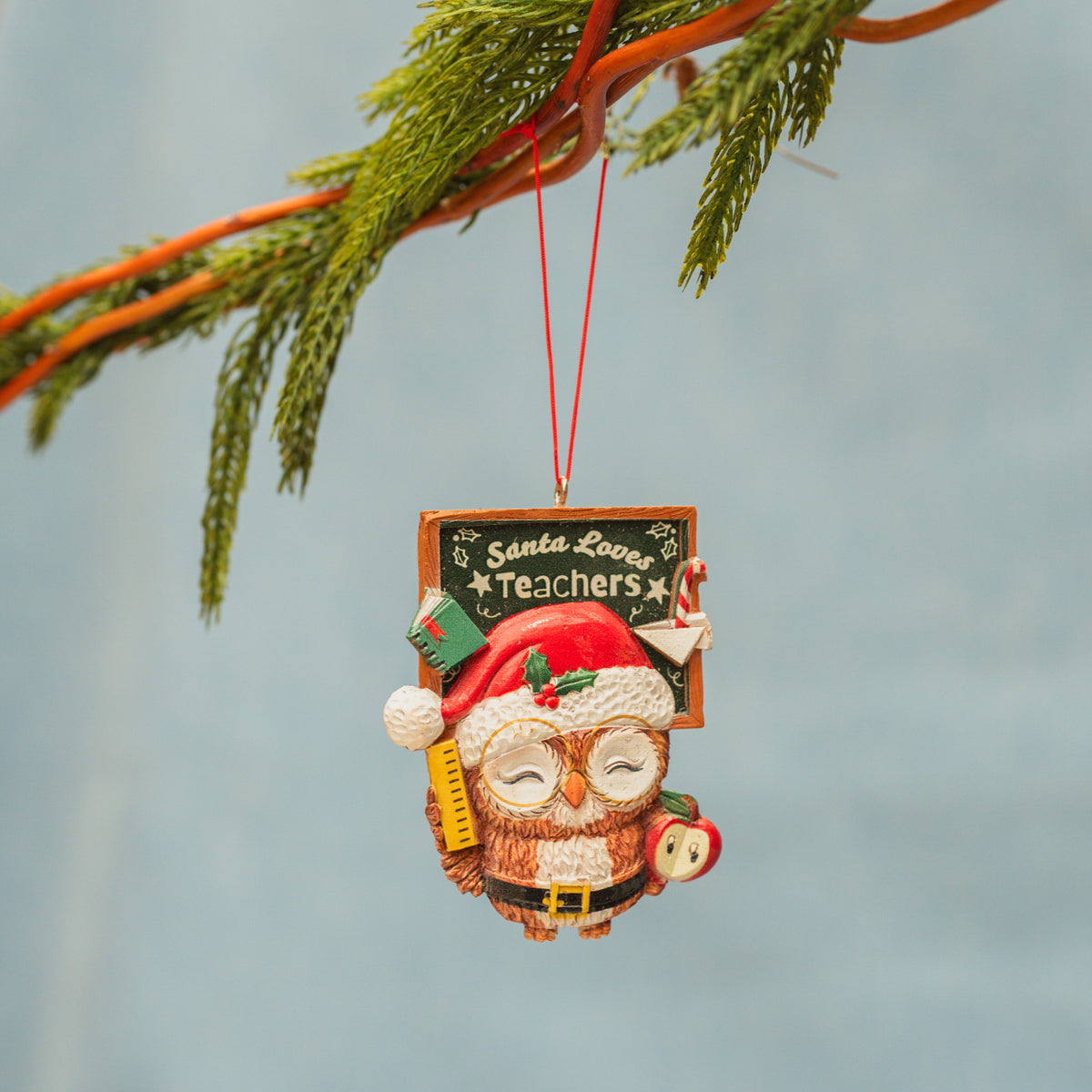 Resin Owl Teacher Orn 3.625In