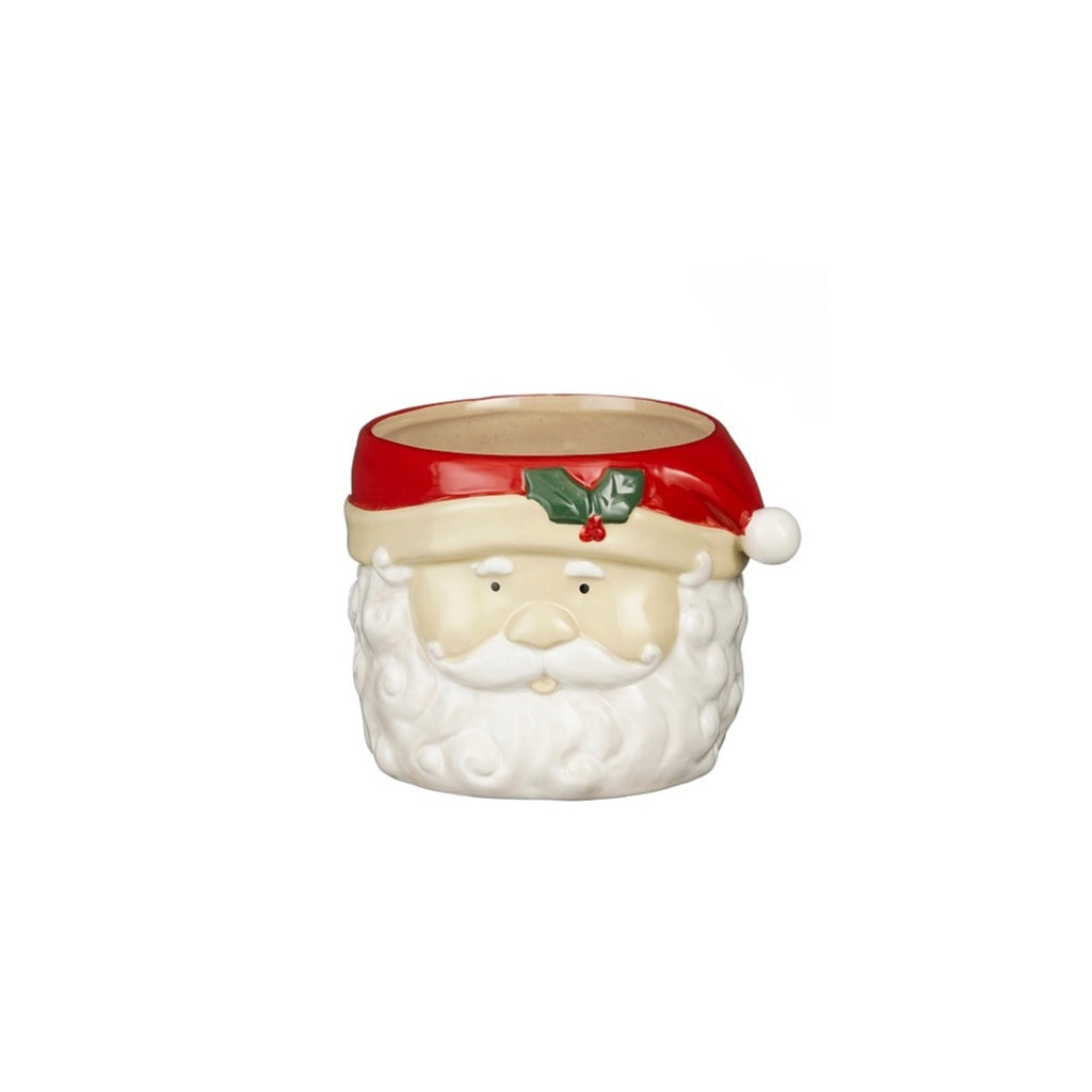 Santa Head Pot