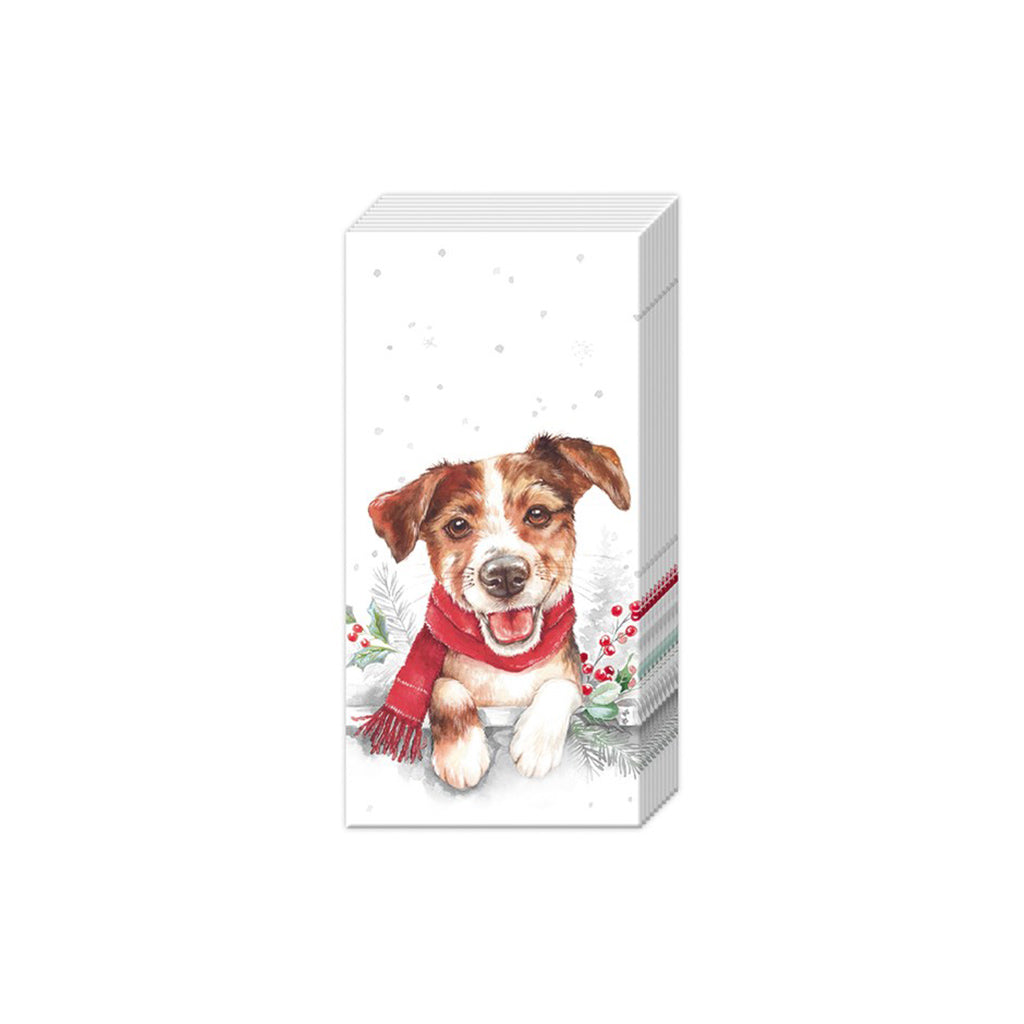 Louie Pocket Tissue