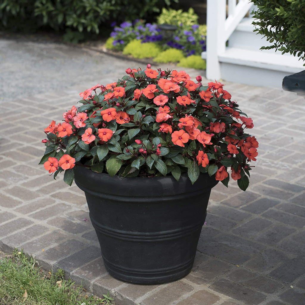 Brunello Roled Rim Planter Caviar Black