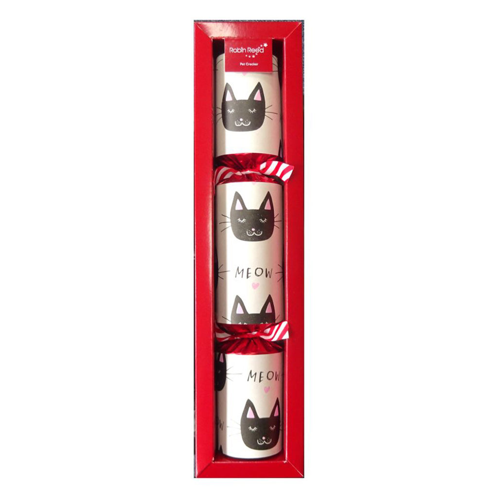 Christmas Cracker for Cats