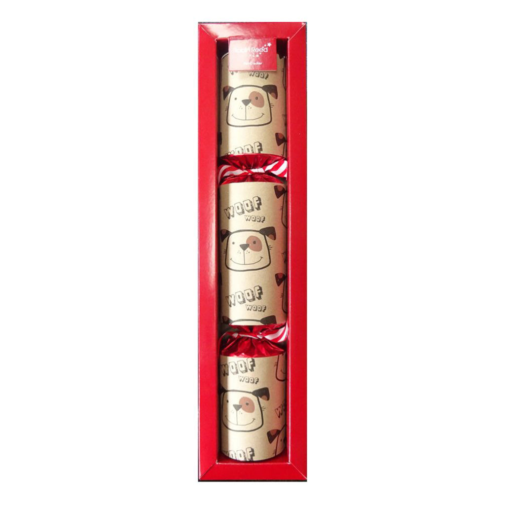 Christmas Cracker for Dogs