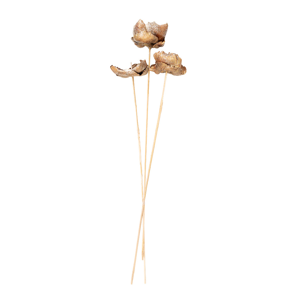Palm Flower Bundle Champange Glitter