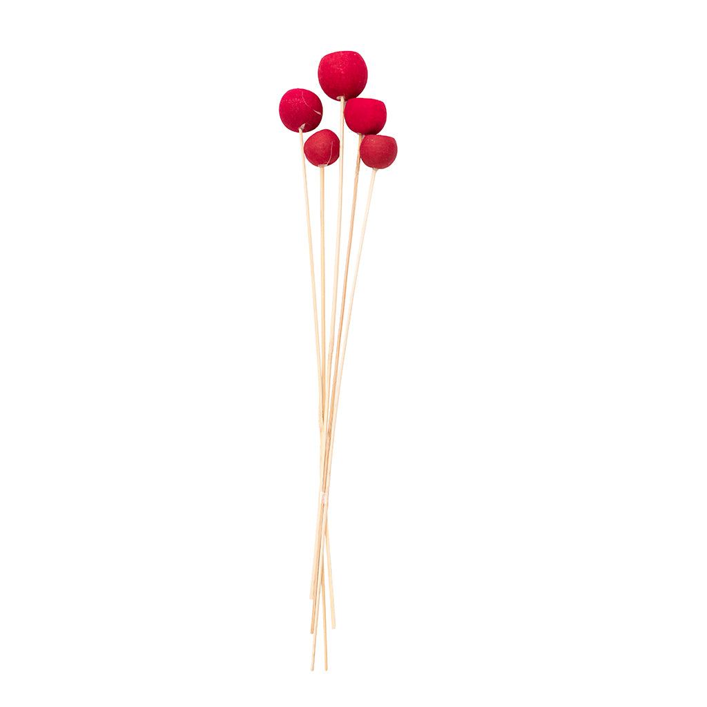 Bell Cup Bundle Red