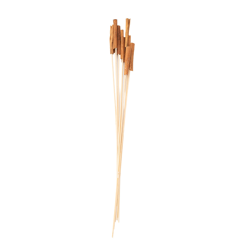 Cinnaman Stemmed Bunch