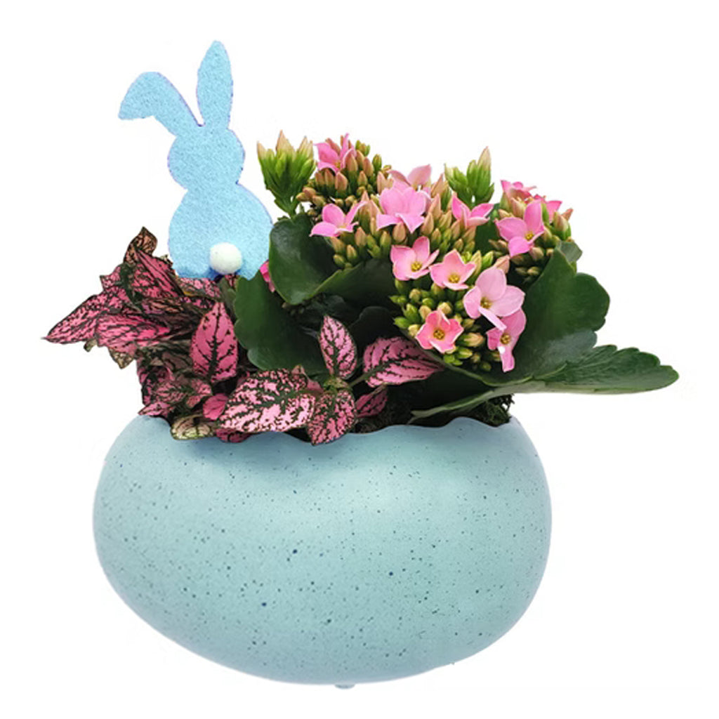 Avery Egg Ceramic 6.75" Easter Dish Garden