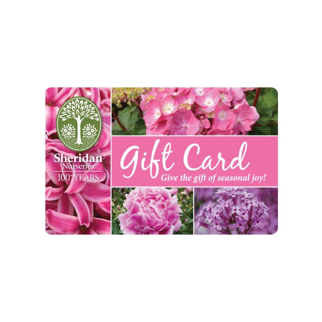 Gift Card - Pink - Mailed to You