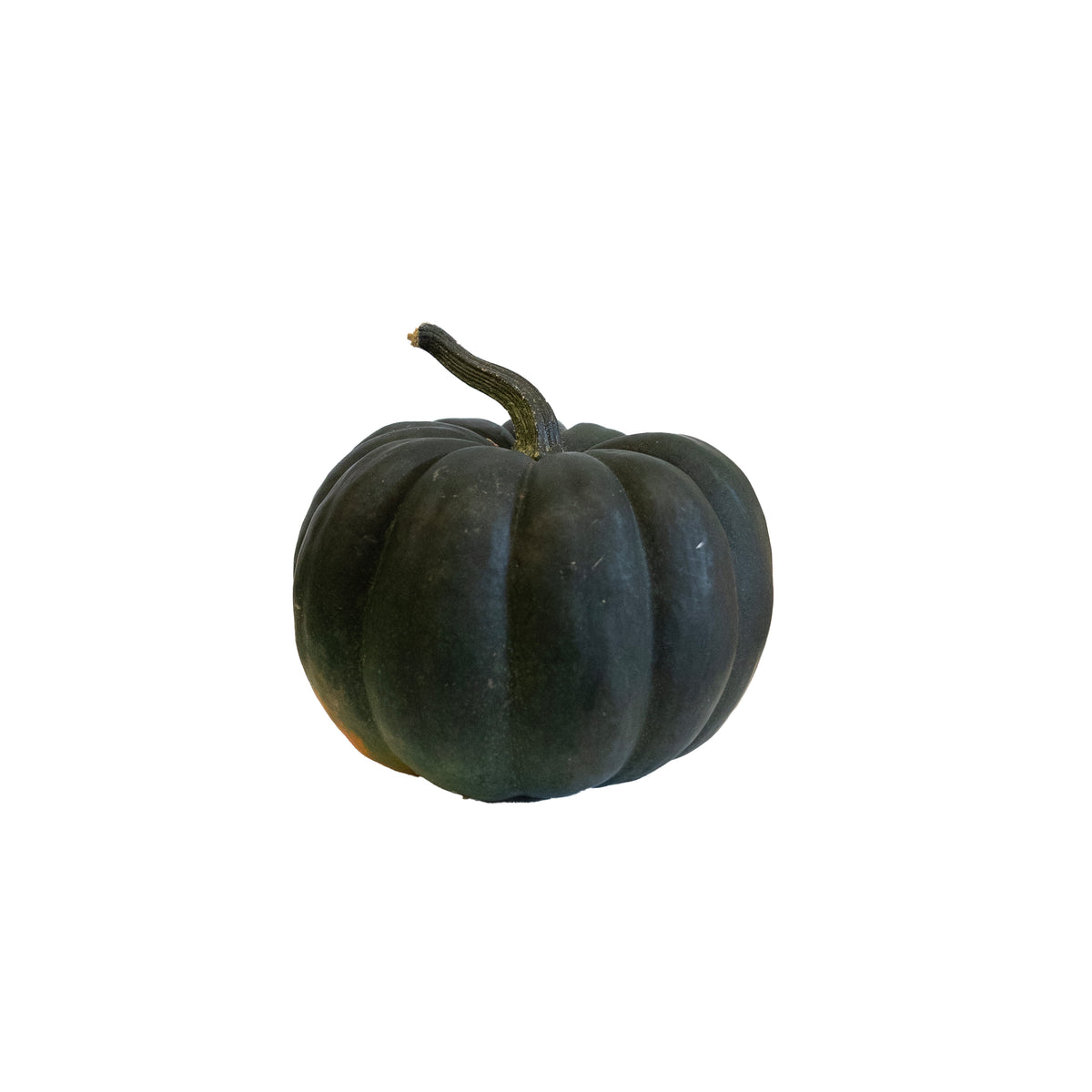 Specialty Small Pumpkin