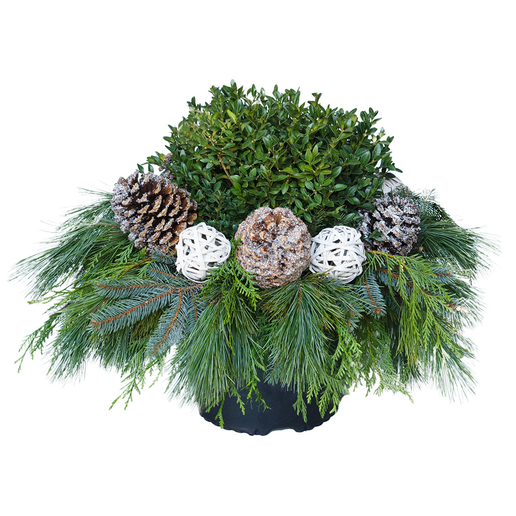 Urn Arrangement - Snowfall Spirit 12&quot;