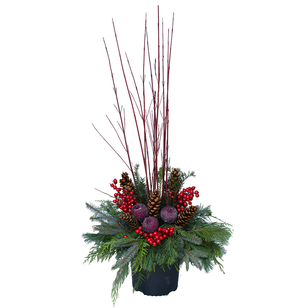 Urn Arrangement - Red Berry Bliss 12&quot;