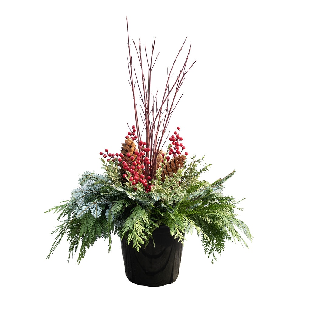Urn Arrangement - Classic Christmas Design 12"