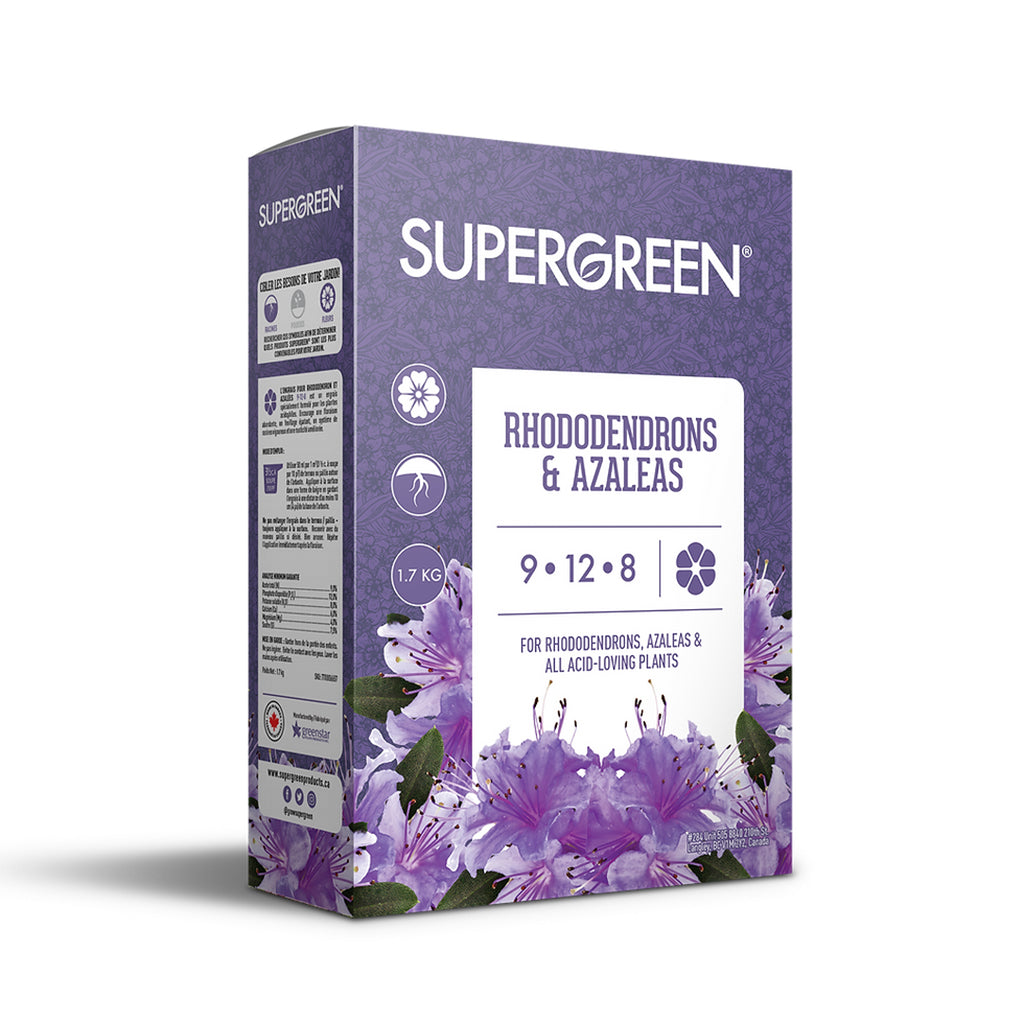 SuperGreen® Boxed Rhodo &amp; Azalea 1.7kg