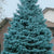 A magnificent centerpiece that brings the magic of nature into your home during the holiday season. With its stunning blue-green foliage and elegant silhouette, this carefully nurtured tree becomes the focal point of your festive decorations. Its dense branches adorned with short, stiff needles radiate a unique blue hue, creating a striking visual impact. Strong and sturdy, this Christmas tree provides the perfect canvas for your favorite ornaments, twinkling lights, and garlands. 