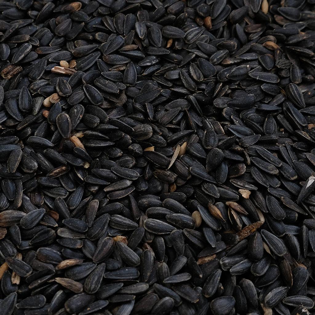 Parkwood Black Oil Sunflower Seed 11 litres