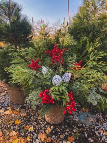 Kitchener Make It & Take It: Christmas Planter