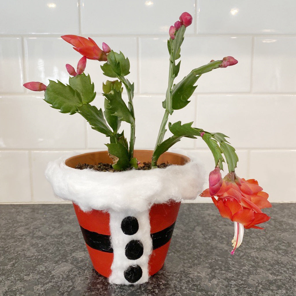 Etobicoke Garden Centre:  Little Diggers Santa Flower Pot