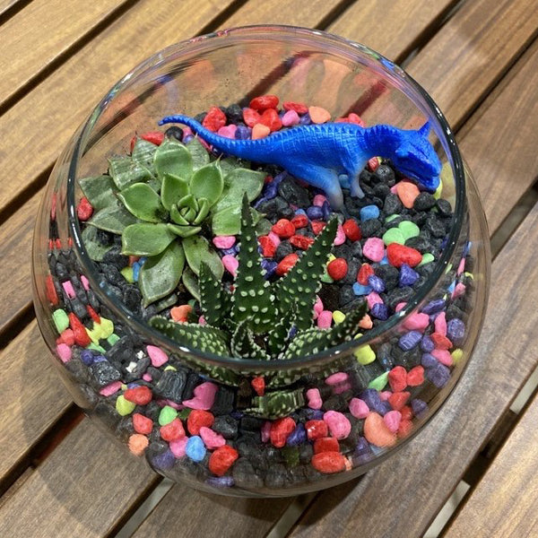 Little Diggers Sheridan Nurseries Online