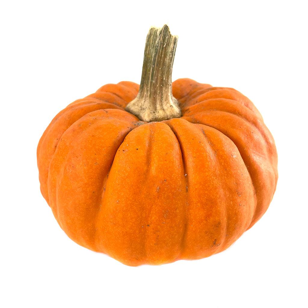 Pumpkin Mini