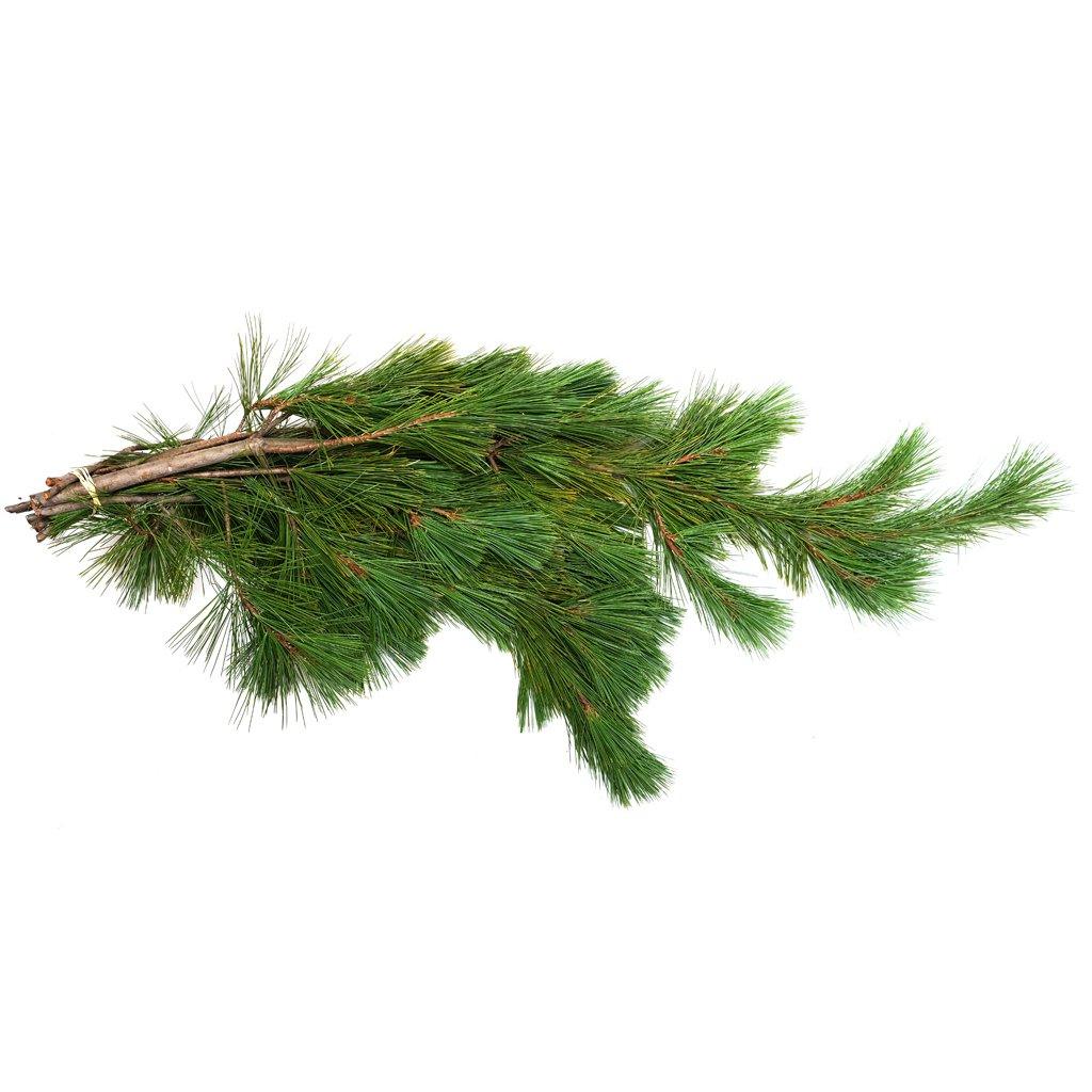 Transform your outdoor space into a winter wonderland with the natural elegance of BC White Pine Boughs. This 3lb bundle of pristine, freshly harvested white pine boughs is the perfect addition to your holiday outdoor décor. Imbued with the spirit of the season, these boughs bring the beauty of the great outdoors to your doorstep..