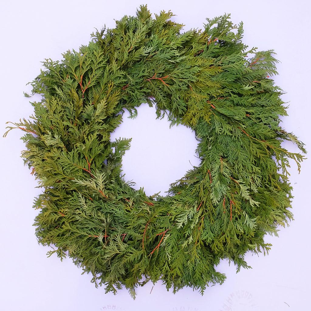 White Cedar Wreath 16"