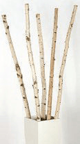 Whether you're creating a warm and inviting outdoor scene or adorning your outdoor space, the Natural Birch Poles add a touch of natural beauty and rustic charm to your outdoor decor. Embrace the simplicity and authenticity of these exquisite birch poles as they enhance your outdoor decorating endeavors.