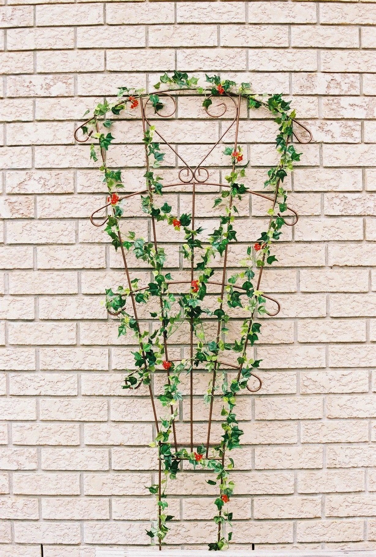 Enhance your garden with the Versailles Fan Trellis. With its sturdy construction and elegant design, this trellis is perfect for training climbing plants and adding a touch of charm to your outdoor space. Upgrade your gardening game with this beautiful and functional trellis.