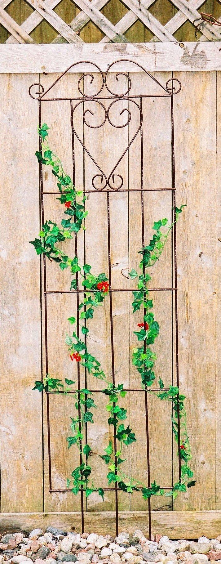 Versailles Ladder Trellis - Sheridan Nurseries
