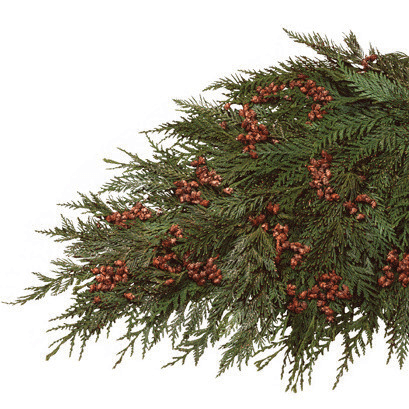 Cedar Coned Bough