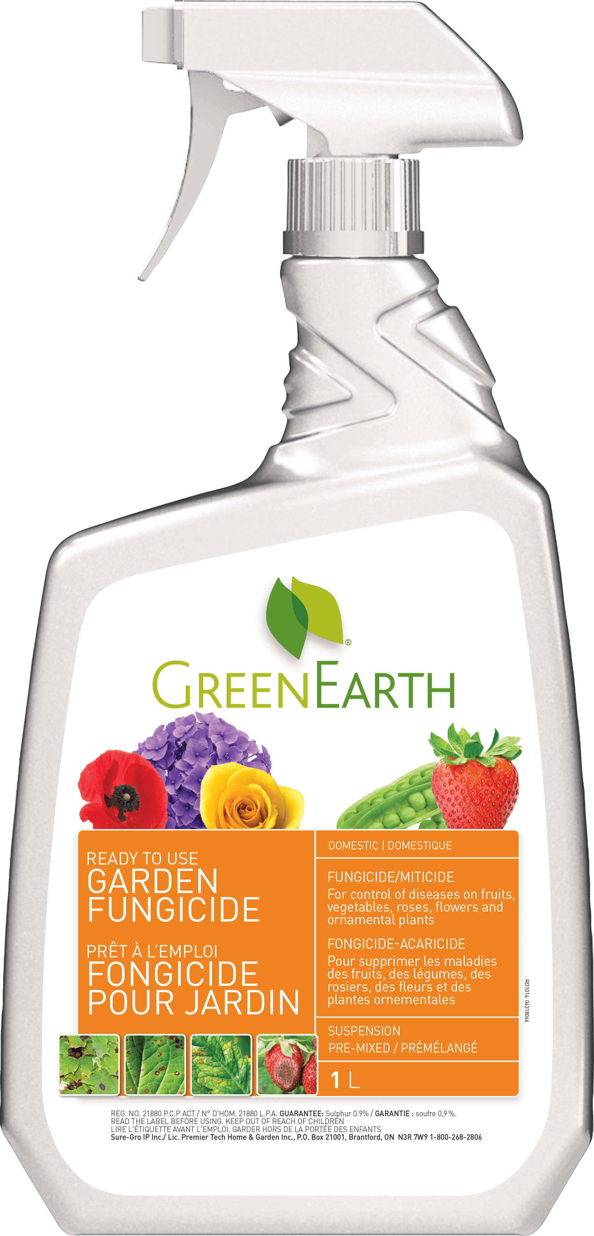 fungicide for pothos Garden Fungicide 1L Ready To Use