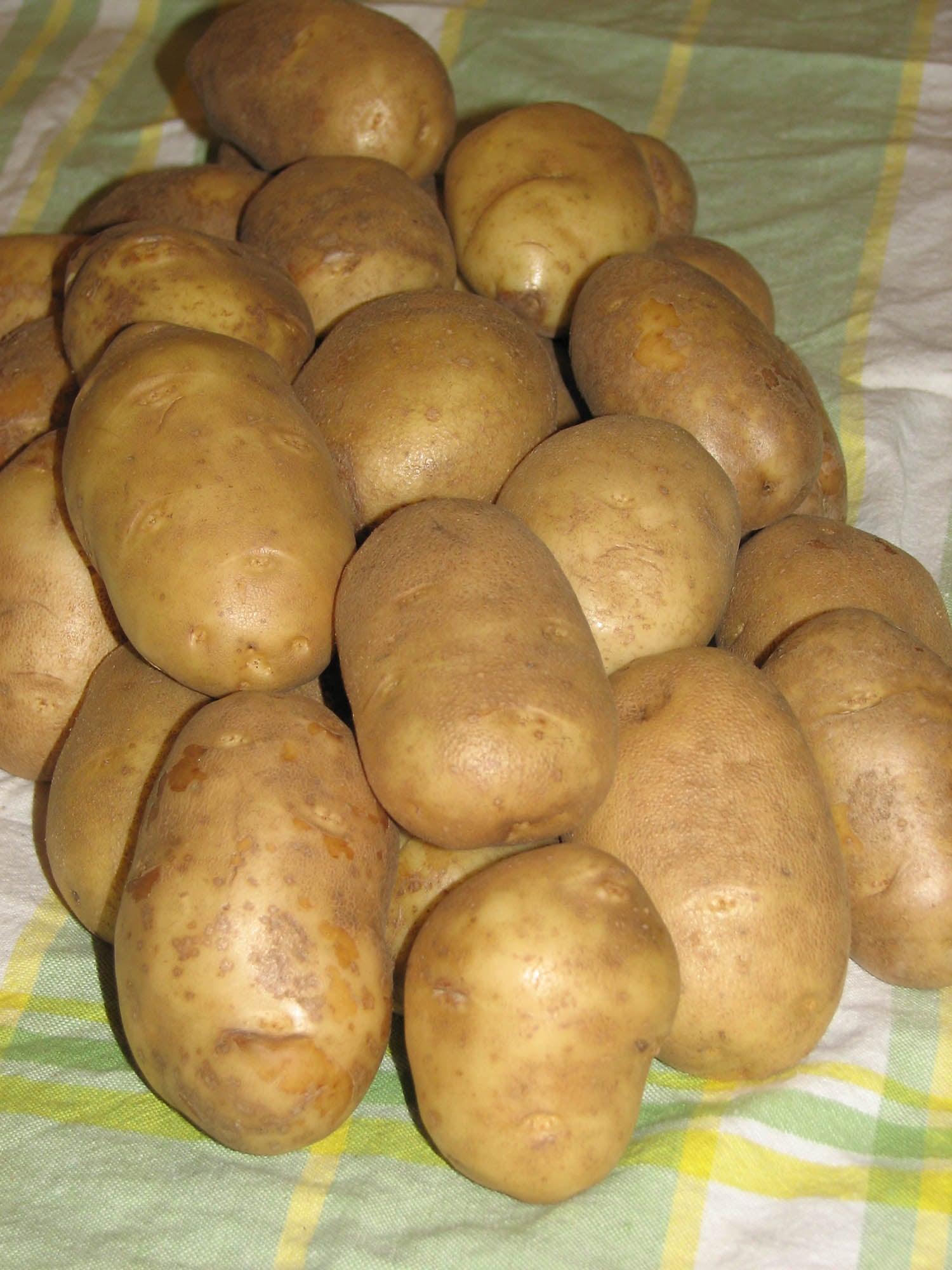 Potatoes Russet Burbank Wh 2KG