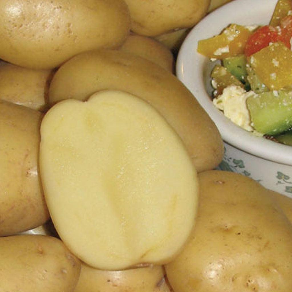 Potatoes Yukon Gold Yellow 2KG