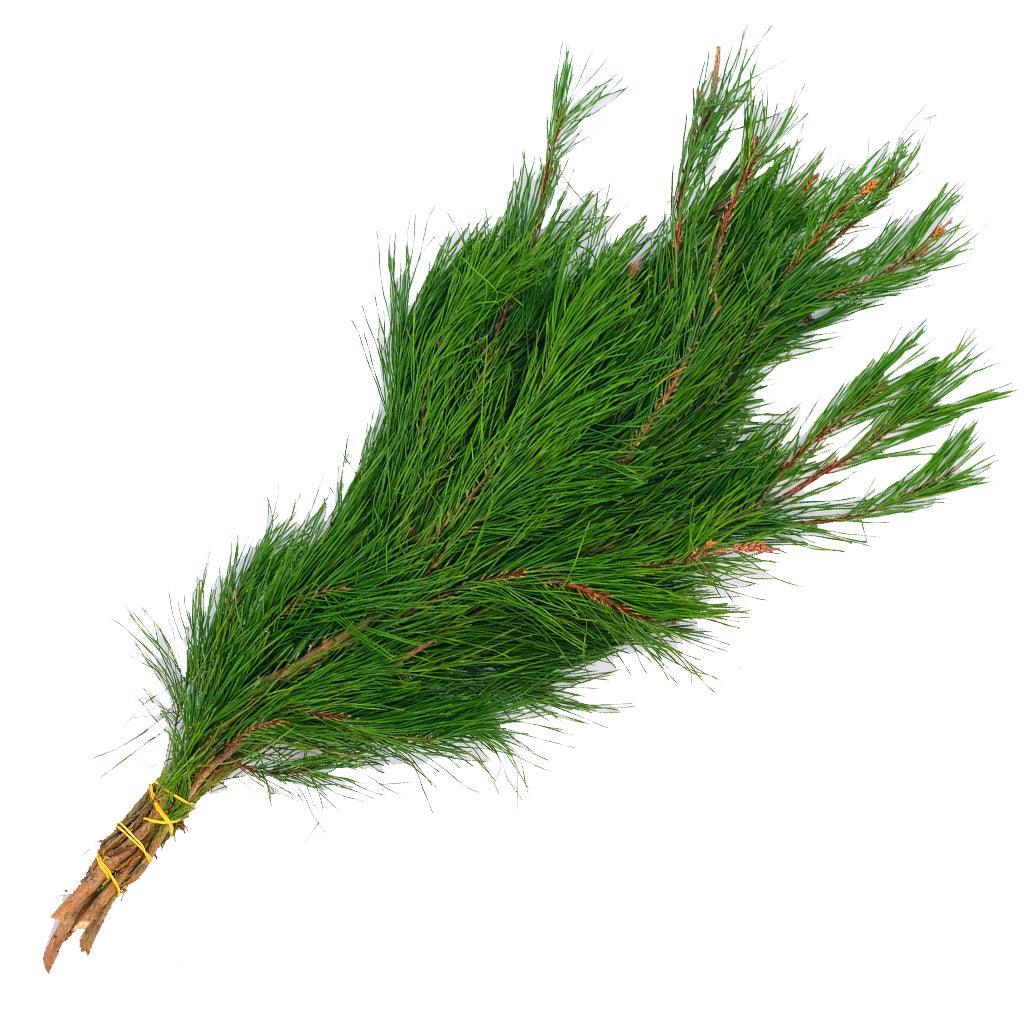 Introducing the Ontario Pine Bough, a quintessential component of your outdoor decorating. This 4lb bundle of carefully sourced pine boughs, proudly harvested in Ontario, serves as the perfect canvas for crafting a winter wonderland in your outdoor space.