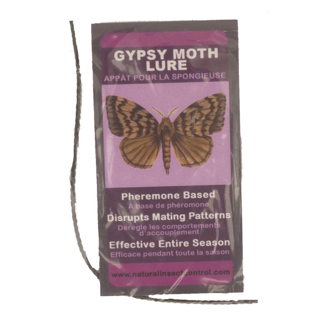Gypsy Moth Lure