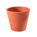 14 cm Rose Clay Pot