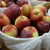 The Empire apple boasts a sweet flavor, crisp texture, and bright white flesh, making it a delightful treat for apple enthusiasts. While Empire apples can be stored for a short period, they are best enjoyed when eaten straight from the tree, offering a burst of freshness and flavor. With a growth range suitable for zones 4 to 7, this semi-dwarf tree thrives in a variety of climates, making it a versatile choice for apple lovers in different regions.