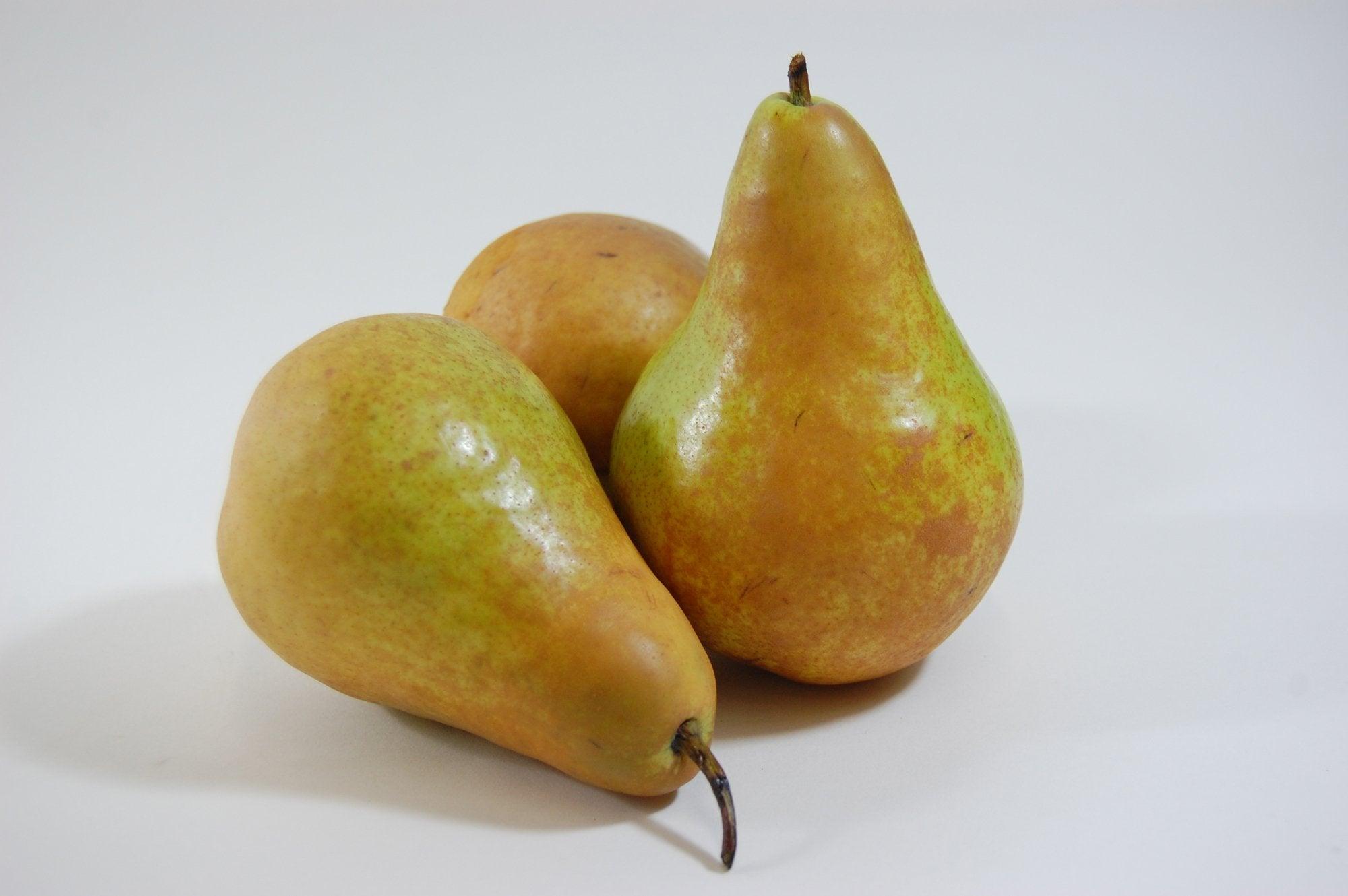 Flemish Beauty Pear  (Semi-Dwarf)