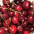 With their rich flavor and juicy texture, Bing cherries are a favorite among cherry enthusiasts and a delightful addition to any garden or orchard. Enjoy the pleasure of picking and savoring the succulent Bing cherries straight from your own backyard, and let this beautiful cherry tree enhance your outdoor space with its abundant harvest and delightful fruits suitable for a variety of culinary delights.
