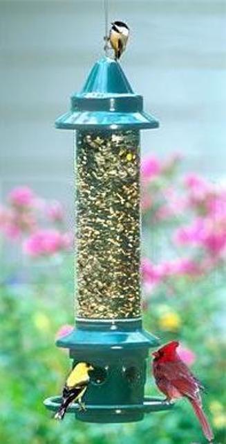 Squirrel Buster Plus with Cardinal Ring Feeder