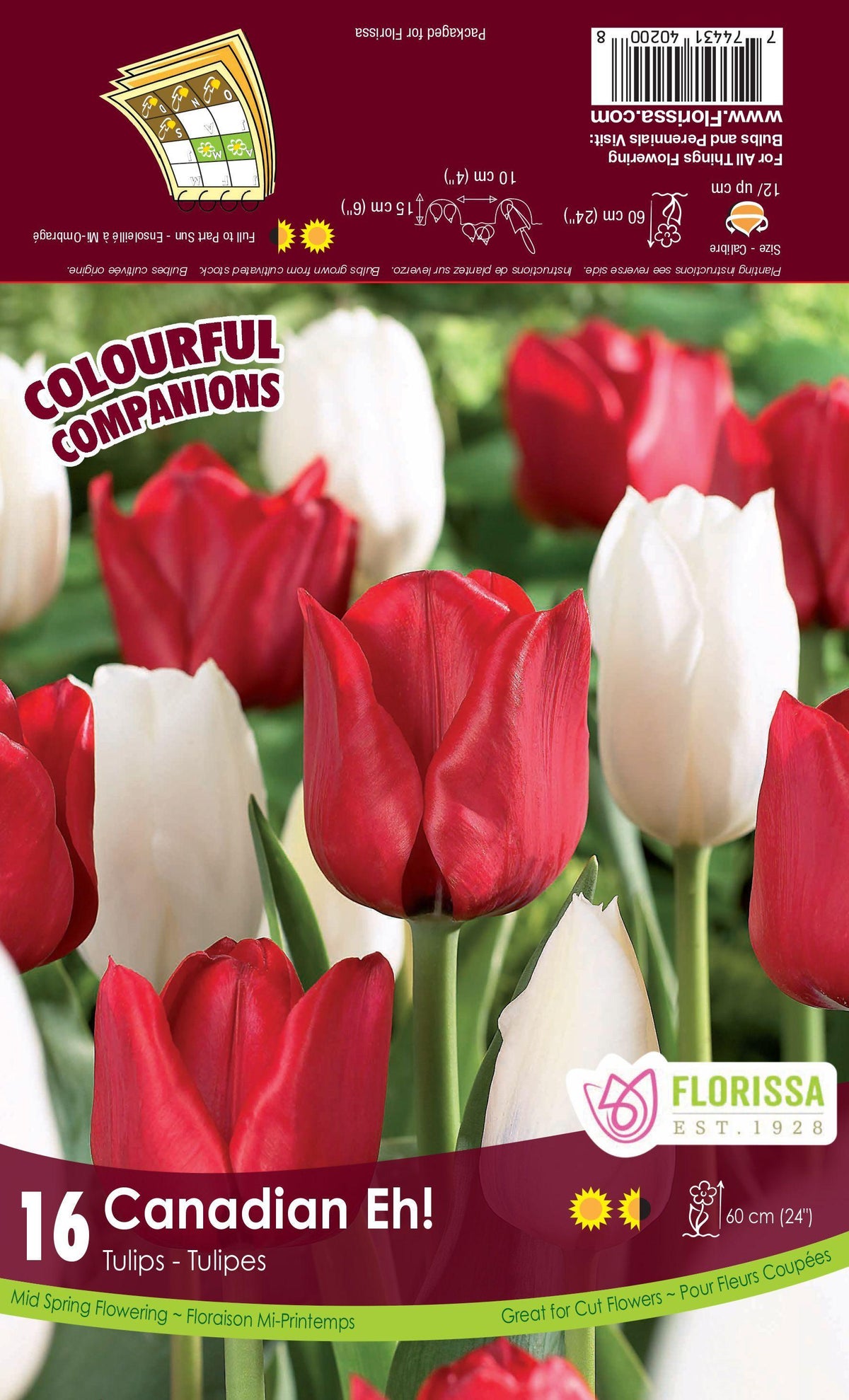 Companions-Canadian Eh!