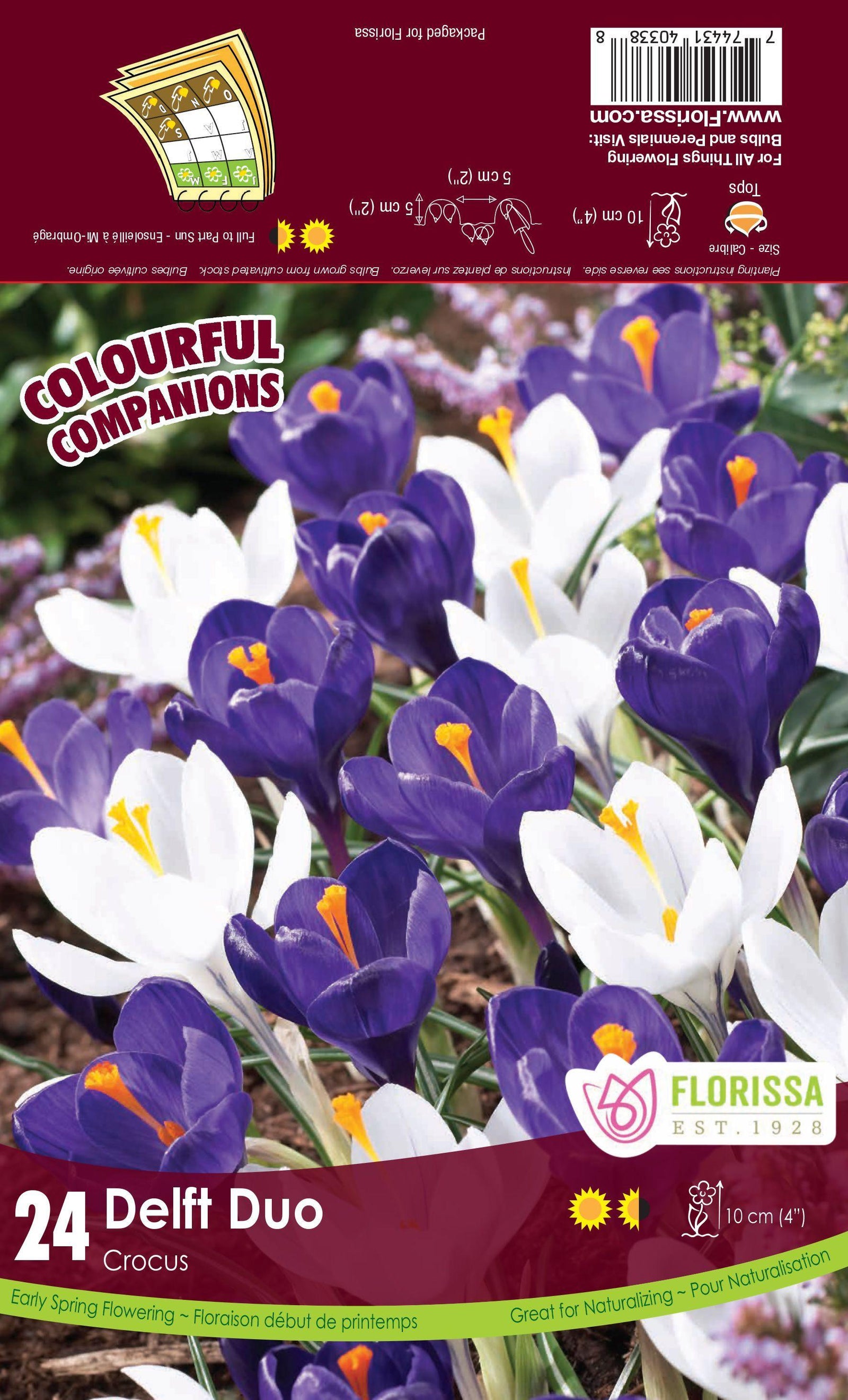 Companions-Delft Duo