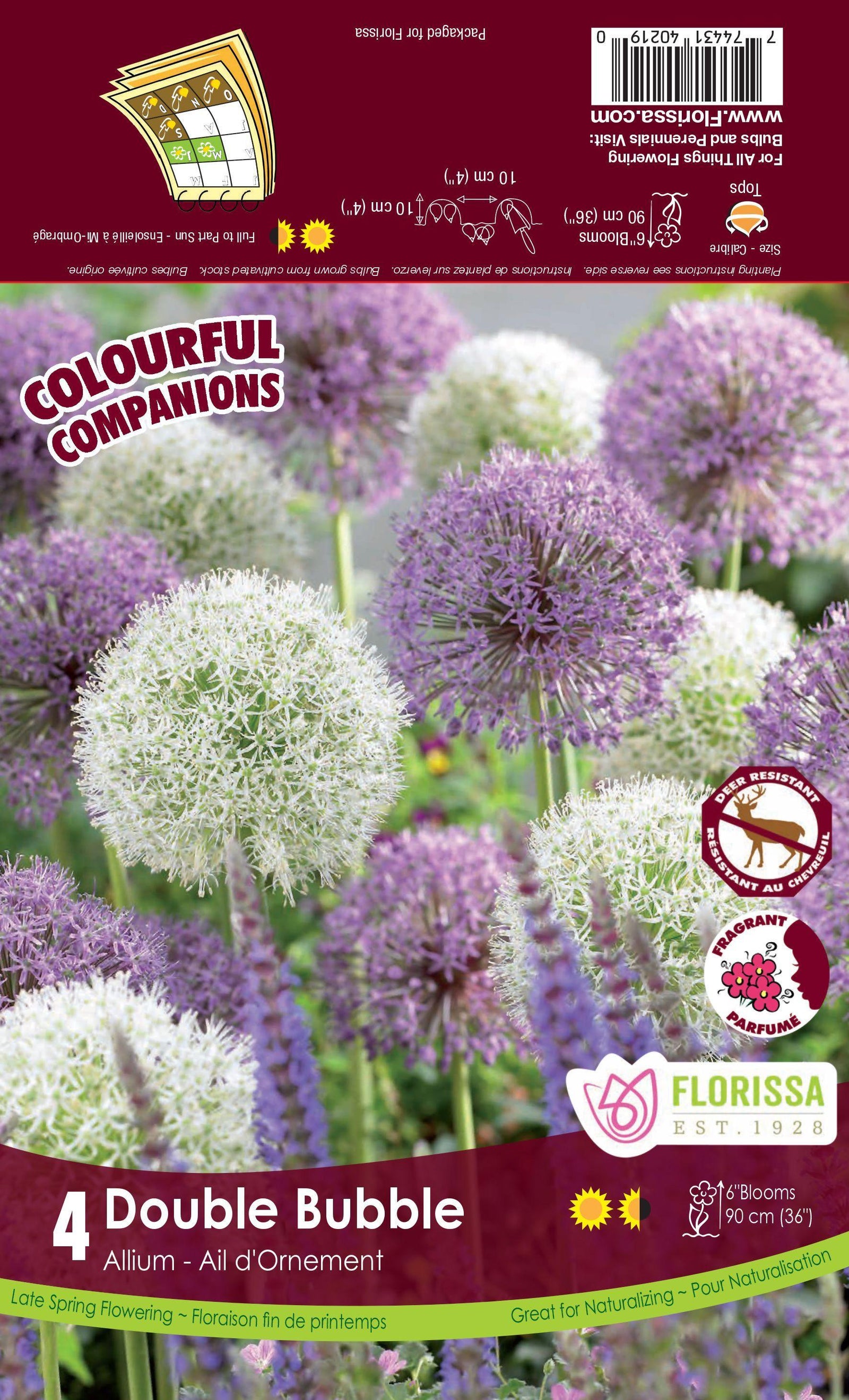 Companions-Double Bubble