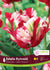 Tulip Estella Rynveld 6/Pkg