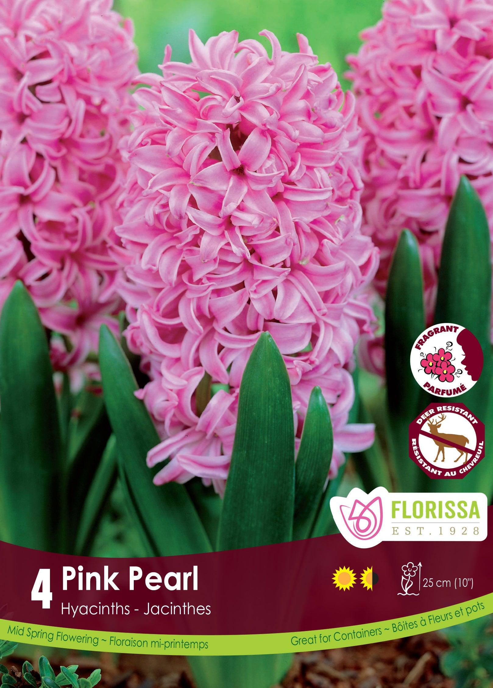 Hyacinth-Pink Pearl