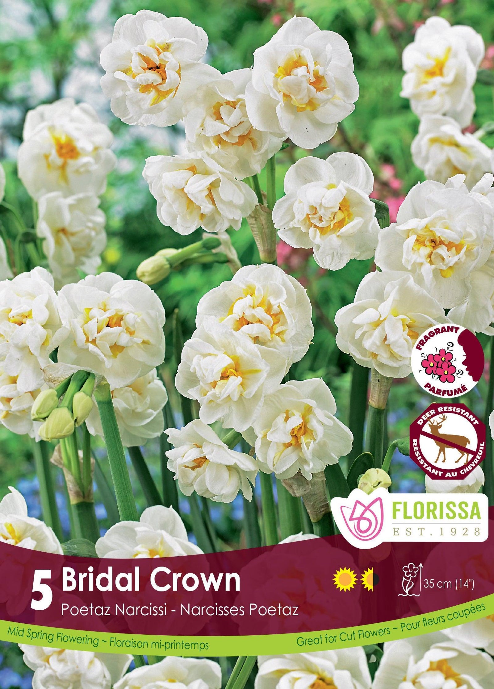 Narcissi-Bridal Crown